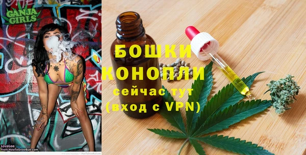 2c-b Белокуриха