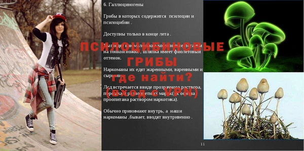 2c-b Белокуриха